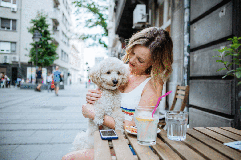 pet-friendly destinations