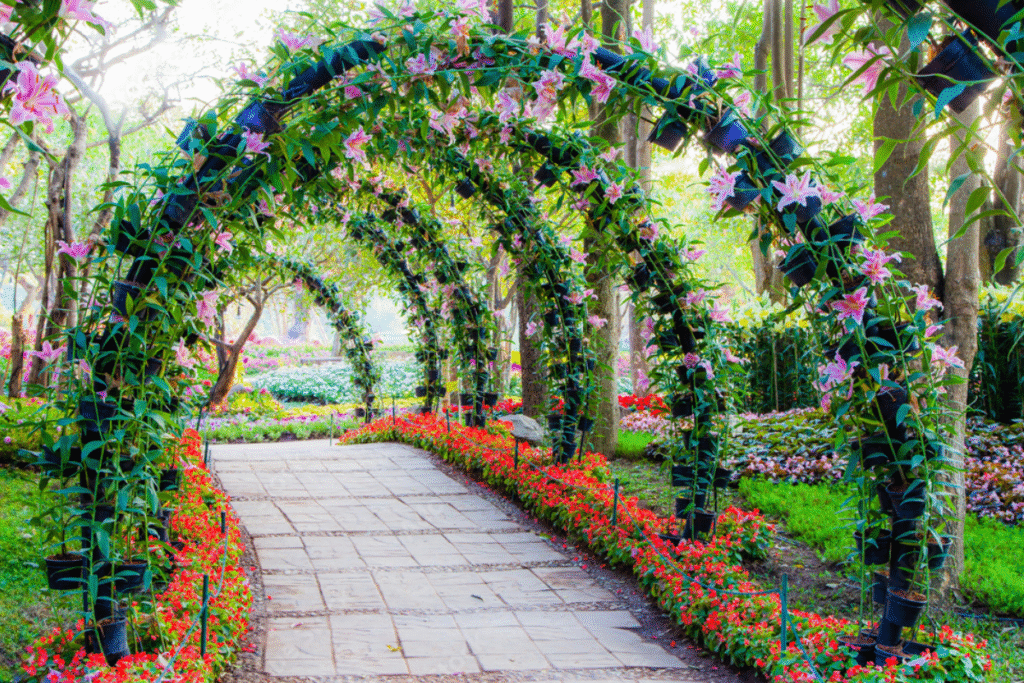 Garden Arches