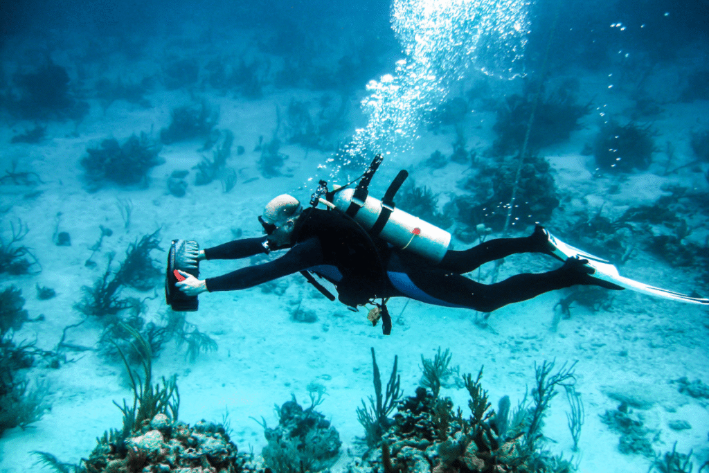 underwater travel camera