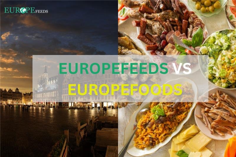 EuropeFeeds vs European Foods: Where to Find the True Flavors European Foods vs EuropeFeeds